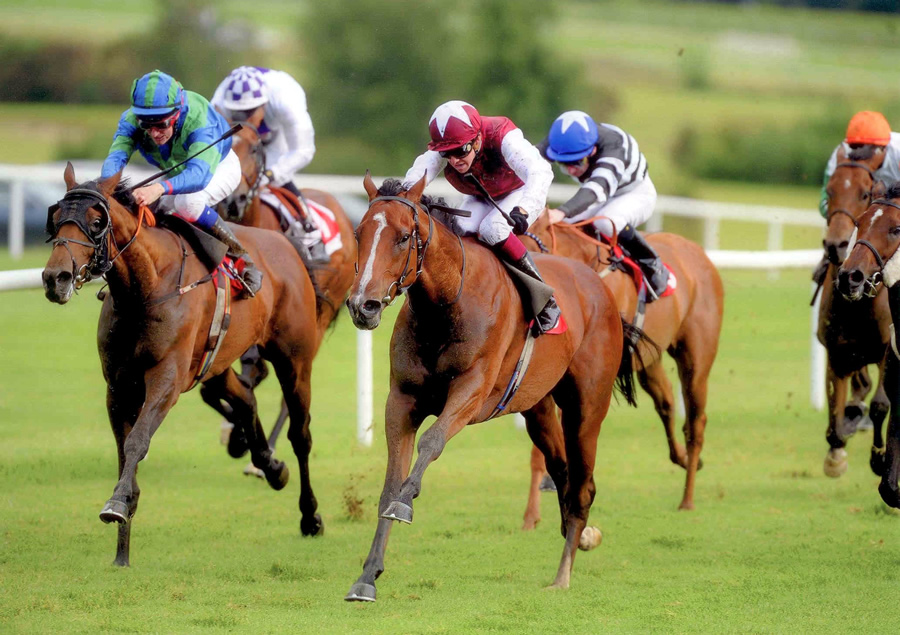 Printmaker Gowran 8th July 2011